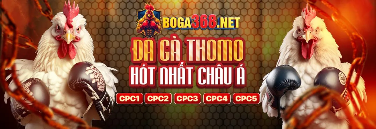 Đá gà trực tuyến sôi động tại uuu88 khuyến mãi